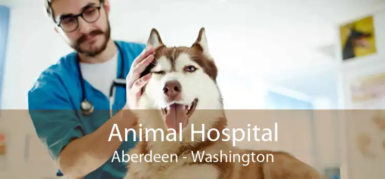 Animal Hospital Aberdeen - Washington