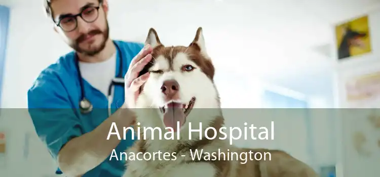 Animal Hospital Anacortes - Washington