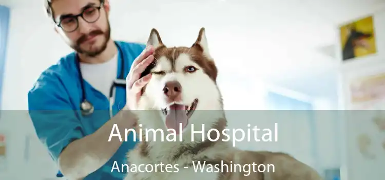 Animal Hospital Anacortes - Washington