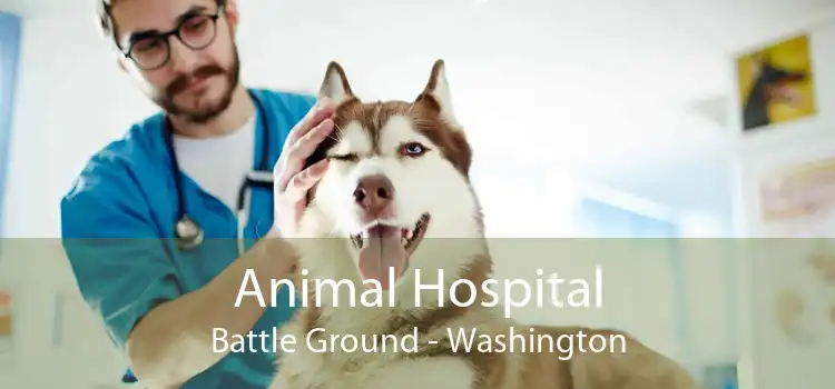 Animal Hospital Battle Ground - Washington