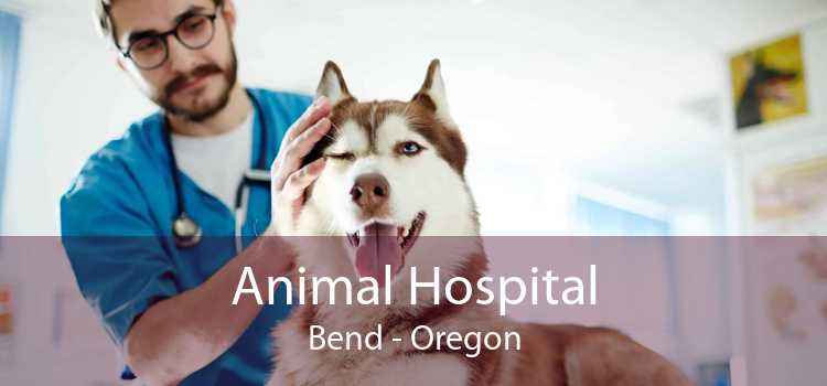 Animal Hospital Bend - Oregon