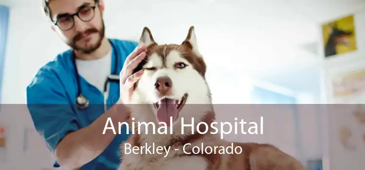 Animal Hospital Berkley - Colorado
