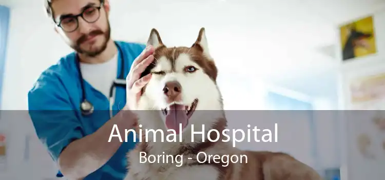 Animal Hospital Boring - Oregon
