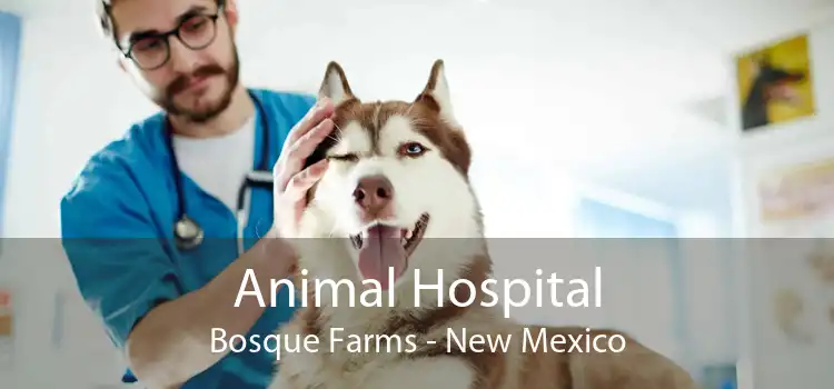Animal Hospital Bosque Farms - New Mexico