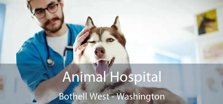 Animal Hospital Bothell West - Washington