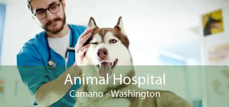 Animal Hospital Camano - Washington