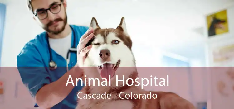 Animal Hospital Cascade - Colorado