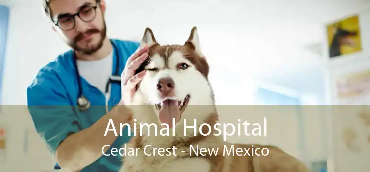 Animal Hospital Cedar Crest - New Mexico