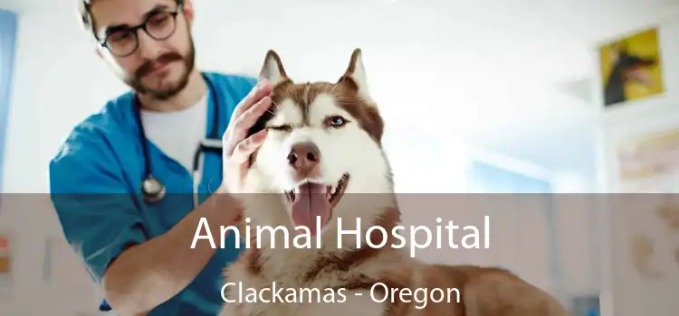 Animal Hospital Clackamas - Oregon