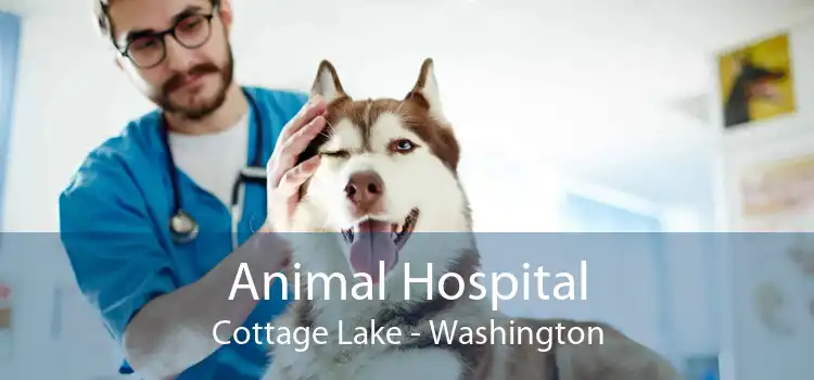 Animal Hospital Cottage Lake - Washington