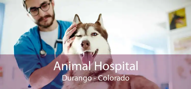 Animal Hospital Durango - Colorado