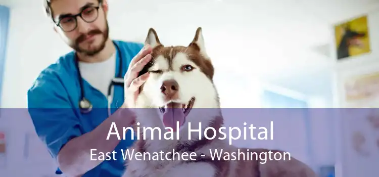 Animal Hospital East Wenatchee - Washington