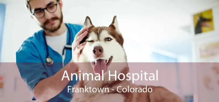 Animal Hospital Franktown - Colorado