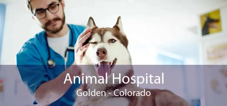 Animal Hospital Golden - Colorado