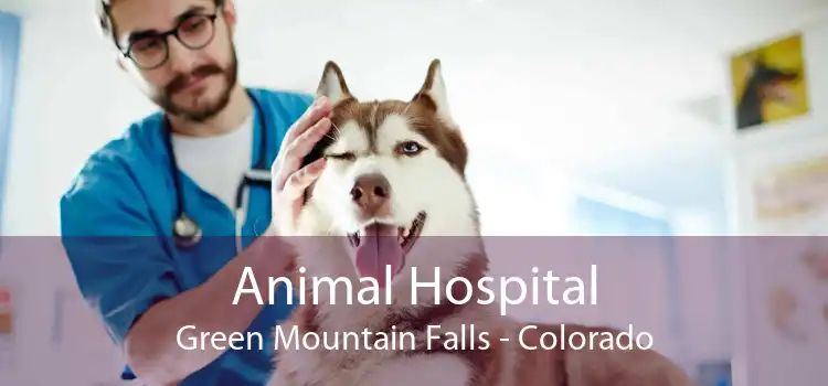 Animal Hospital Green Mountain Falls - Colorado