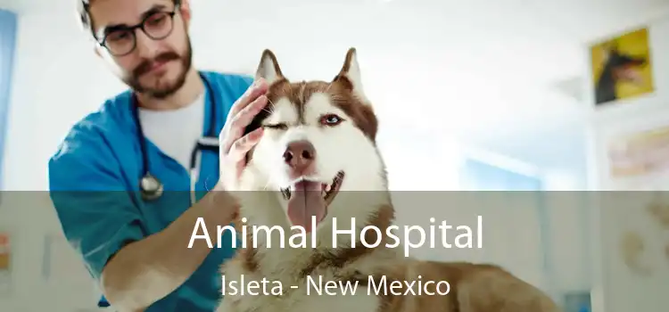 Animal Hospital Isleta - New Mexico