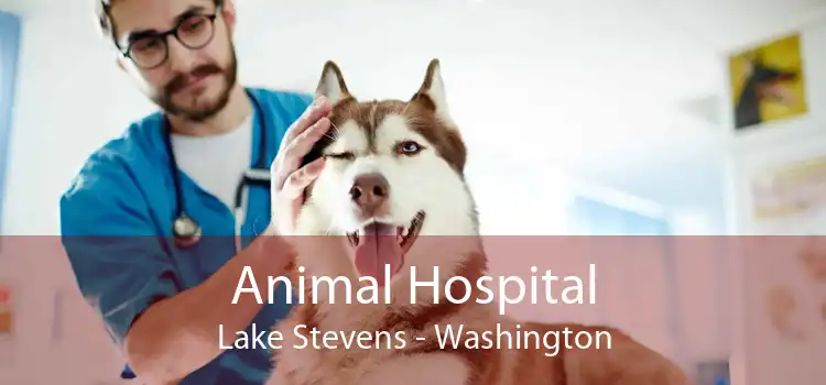 Animal Hospital Lake Stevens - Washington