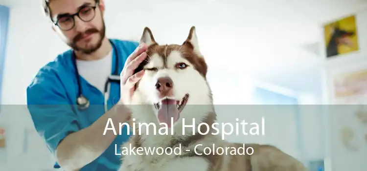 Animal Hospital Lakewood - Colorado