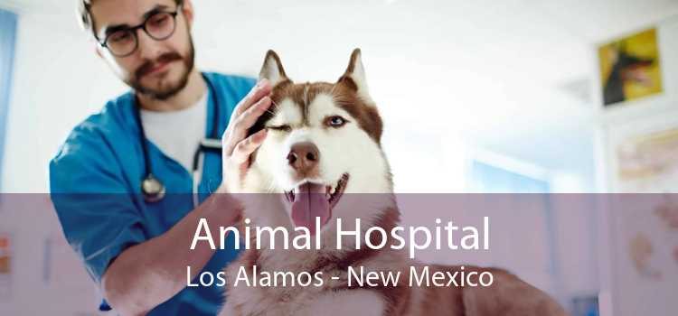 Animal Hospital Los Alamos - New Mexico
