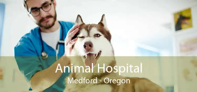 Animal Hospital Medford - Oregon