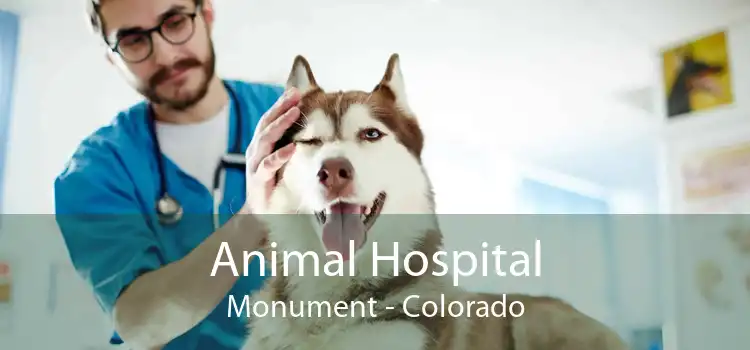 Animal Hospital Monument - Colorado