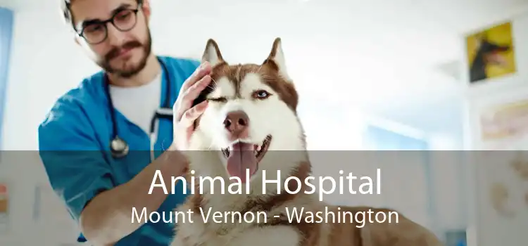 Animal Hospital Mount Vernon - Washington