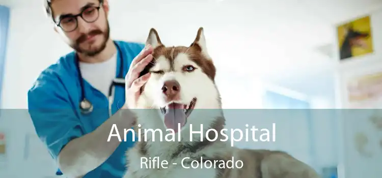 Animal Hospital Rifle - Colorado