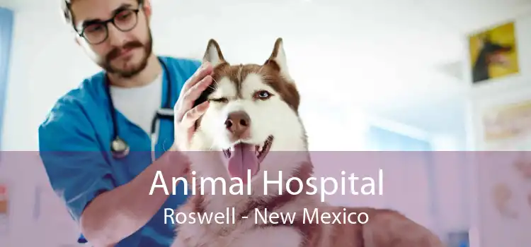 Animal Hospital Roswell - New Mexico