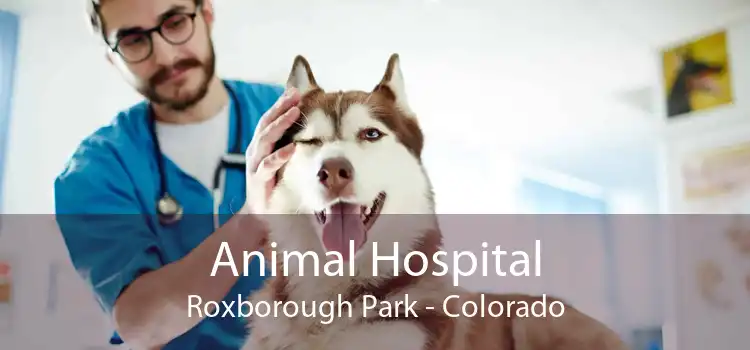 Animal Hospital Roxborough Park - Colorado