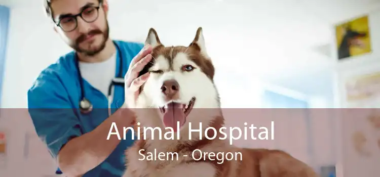 Animal Hospital Salem - Oregon