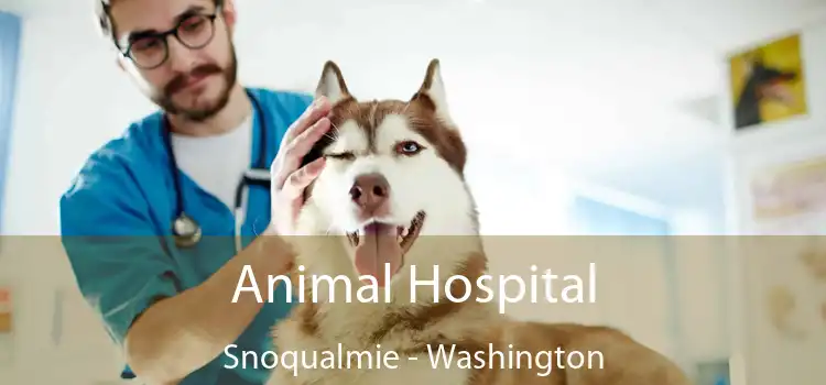 Animal Hospital Snoqualmie - Washington