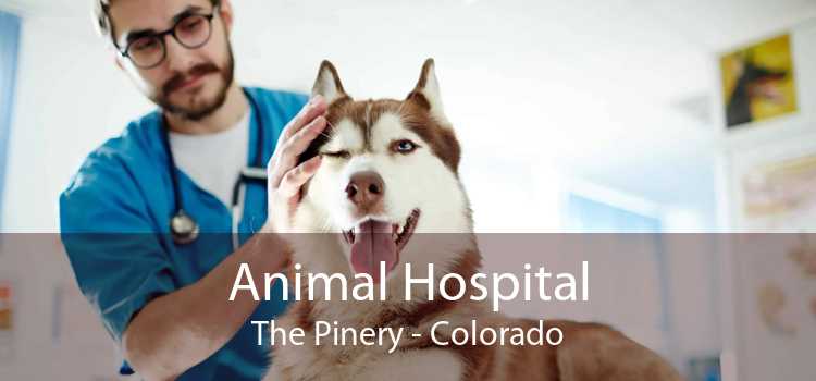 Animal Hospital The Pinery - Colorado