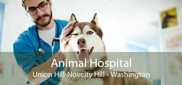 Animal Hospital Union Hill-Novelty Hill - Washington