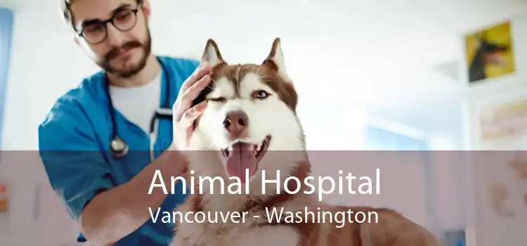 Animal Hospital Vancouver - Washington