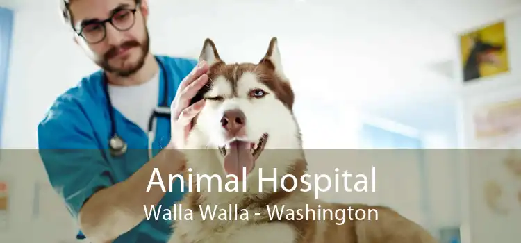 Animal Hospital Walla Walla - Washington