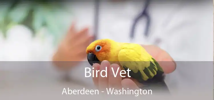 Bird Vet Aberdeen - Washington