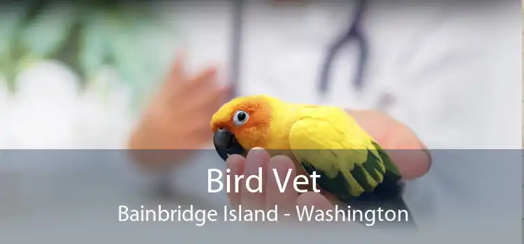 Bird Vet Bainbridge Island - Washington