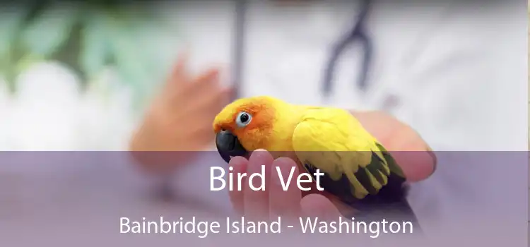 Bird Vet Bainbridge Island - Washington