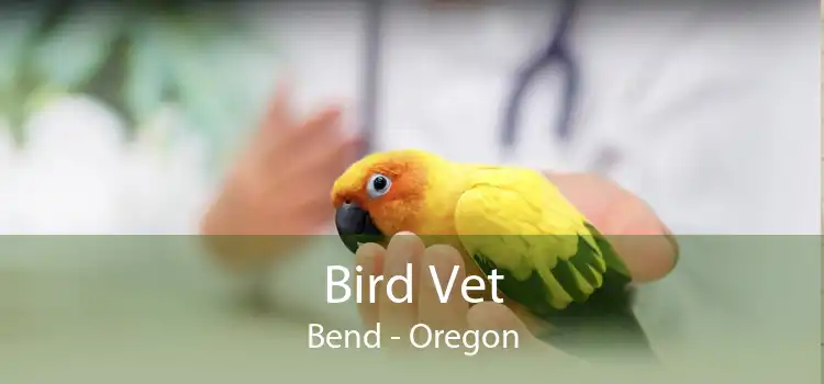 Bird Vet Bend - Oregon