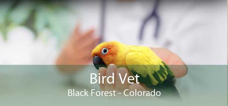 Bird Vet Black Forest - Colorado