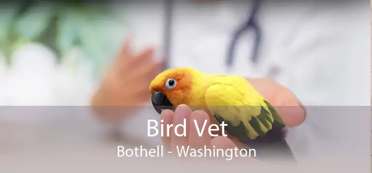 Bird Vet Bothell - Washington