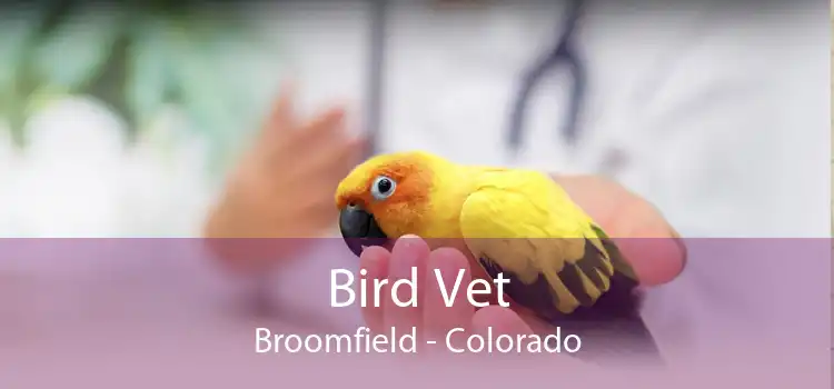 Bird Vet Broomfield - Colorado