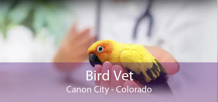 Bird Vet Canon City - Colorado
