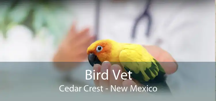 Bird Vet Cedar Crest - New Mexico