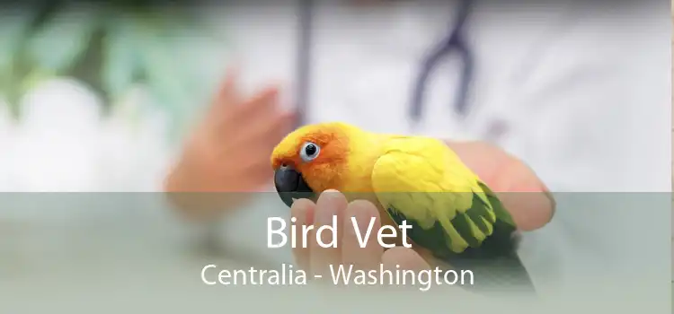 Bird Vet Centralia - Washington