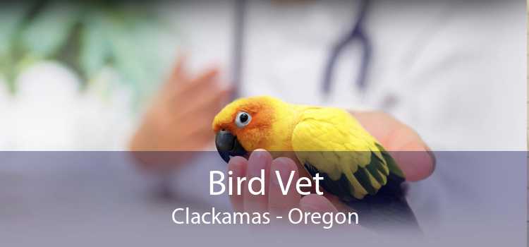 Bird Vet Clackamas - Oregon