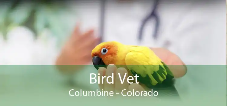 Bird Vet Columbine - Colorado