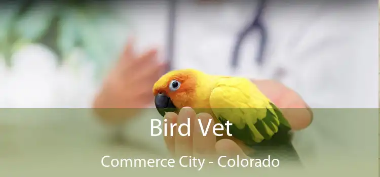 Bird Vet Commerce City - Colorado