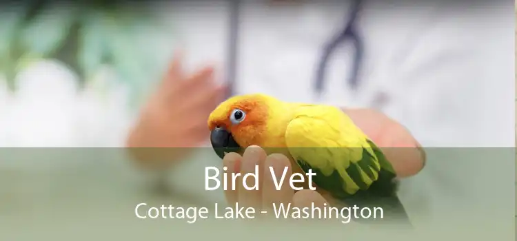 Bird Vet Cottage Lake - Washington