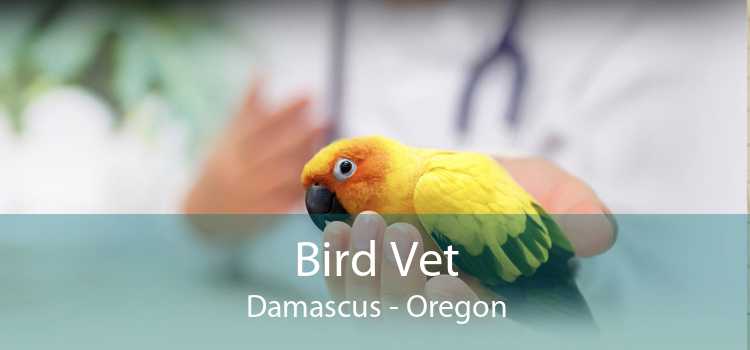 Bird Vet Damascus - Oregon